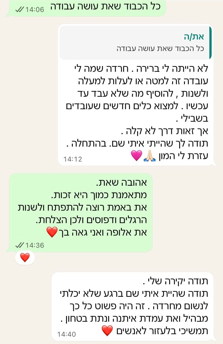 המלצה 2