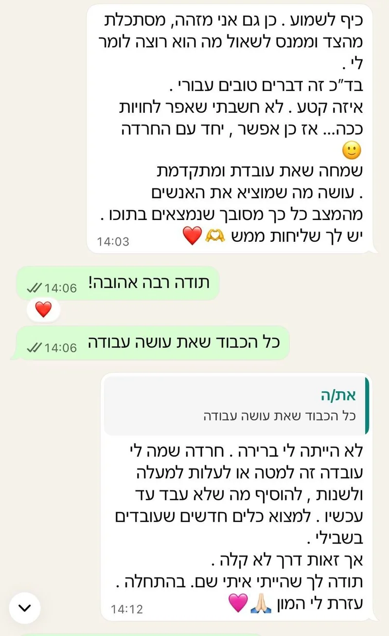 המלצה 4